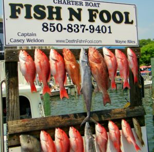 red snapper fishing in Destin, Fl