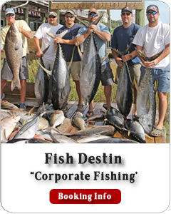 Fish Destin - Check Availability