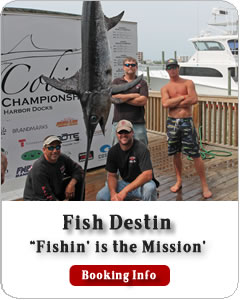 Fish Destin - Check Availability