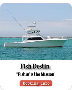 Fish Destin - Booking Info