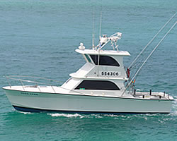 Destin Charter Boat - Fish Destin